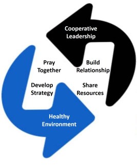 Healthy Network Process